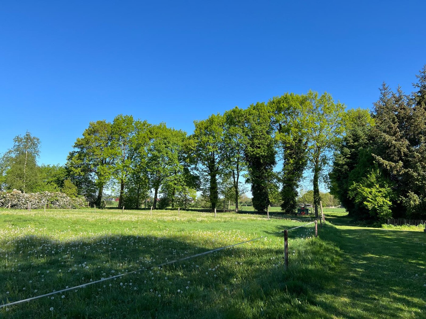 Weideblick