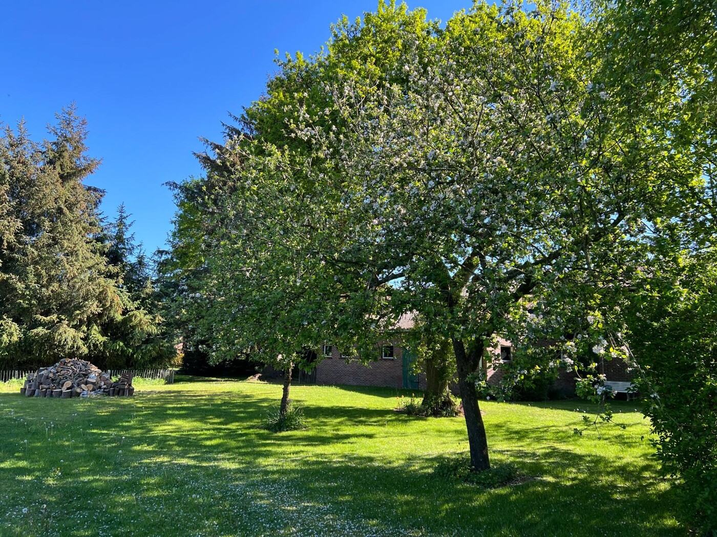 Idylle im Grünen