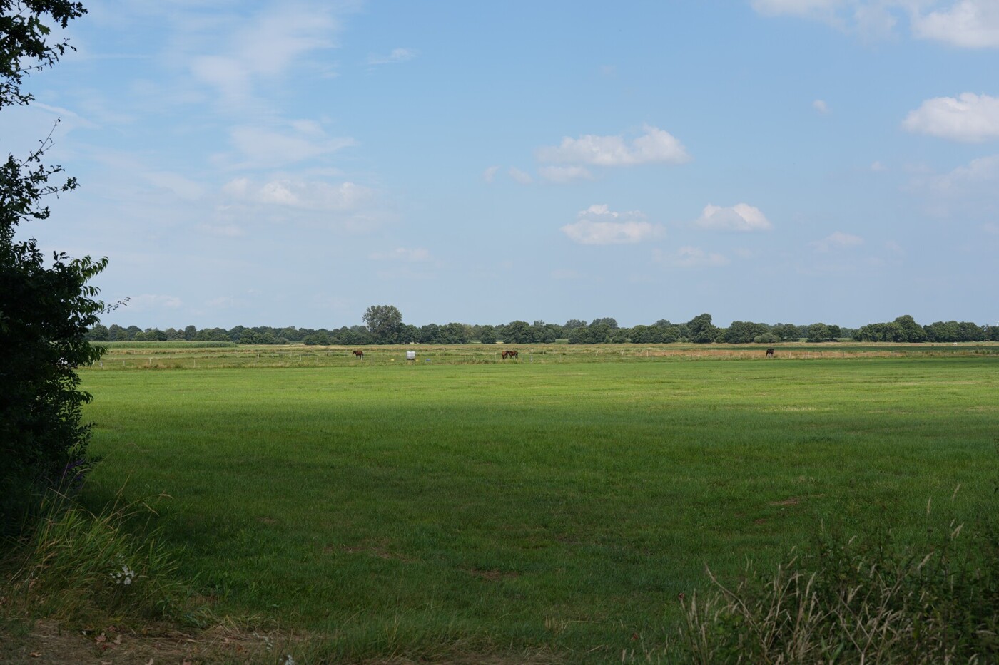 Impressionen