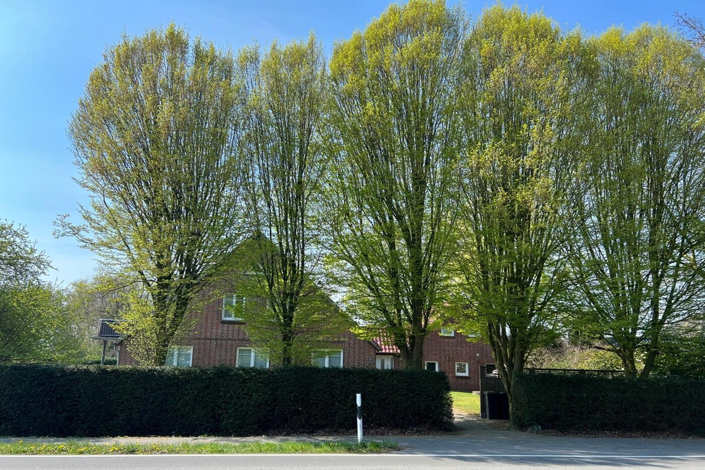Ansicht_Panorama_23