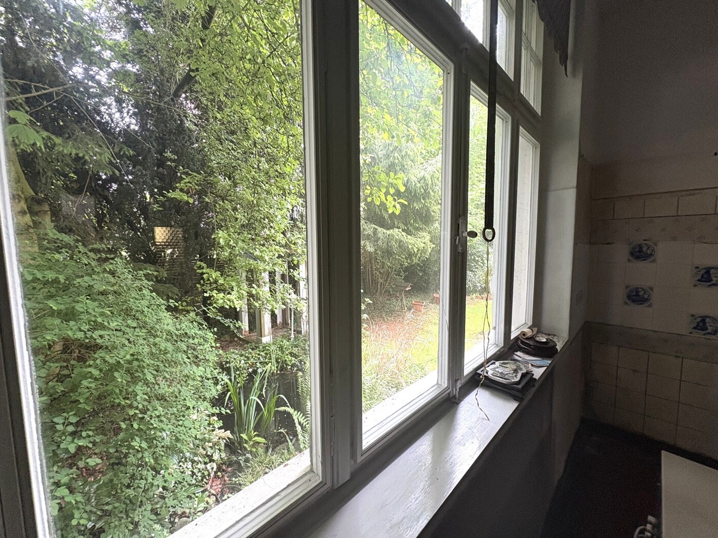 Ausblick_Garten