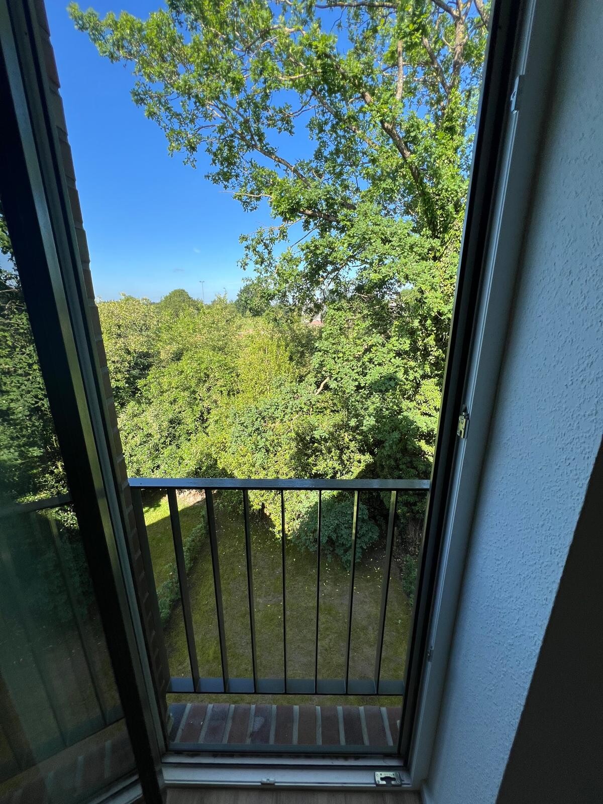 Blick Garten