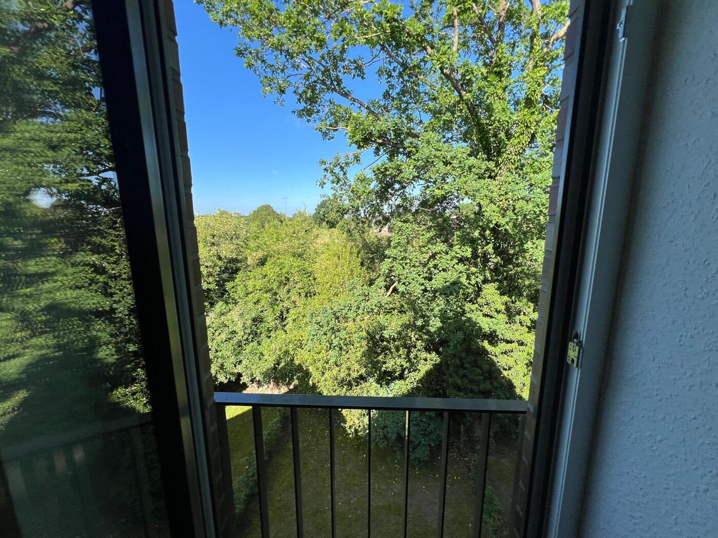 Ausblick ins Grüne