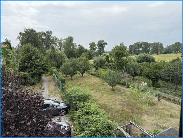 Ausblick