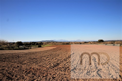 MD Immobilien Projekte Mallorca Manacor Baugrundstueck Blick die Berge