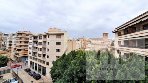 MD Immobilien Projekte Mallorca Palma Wohnung Blick ins Gruene  mitten  in Palmas Bestlage