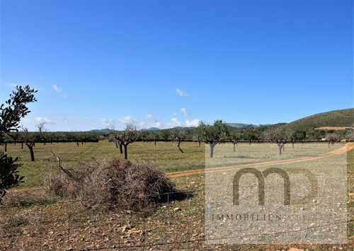 MD Immobilien Projekte Mallorca Cala Varques Grundstueck Blick auf die Berge