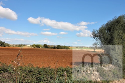 MD Immobilien Projekte Mallorca Felanitx Grundstueck Blick Landschaft