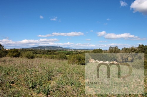 MD Immobilien Projekte Mallorca Felanitx Grundstueck Landschaftsblick Manacor