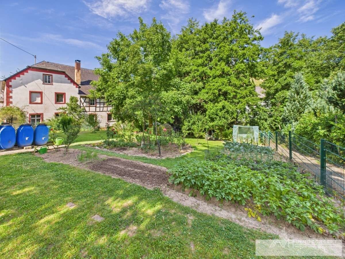 CAM04062G0-PR0033-STILL008