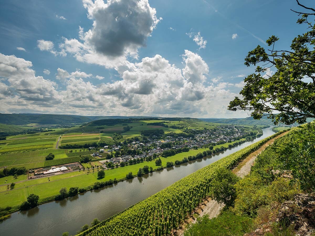 brauneberg-01