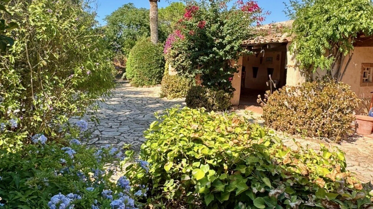 Gartenbereich