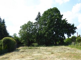 Baugrundstück bei Demmin