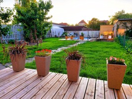 Blick in den Garten
