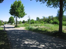 Investieren in Dargun