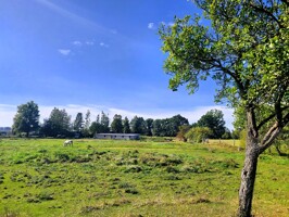 weitläufiges Grundstück für Pferdehaltung