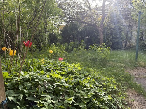 Garten2