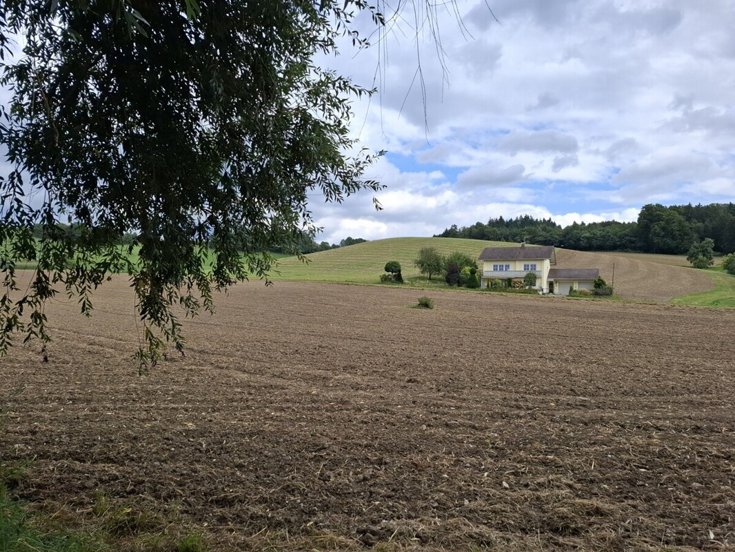 Blick von der Ferne