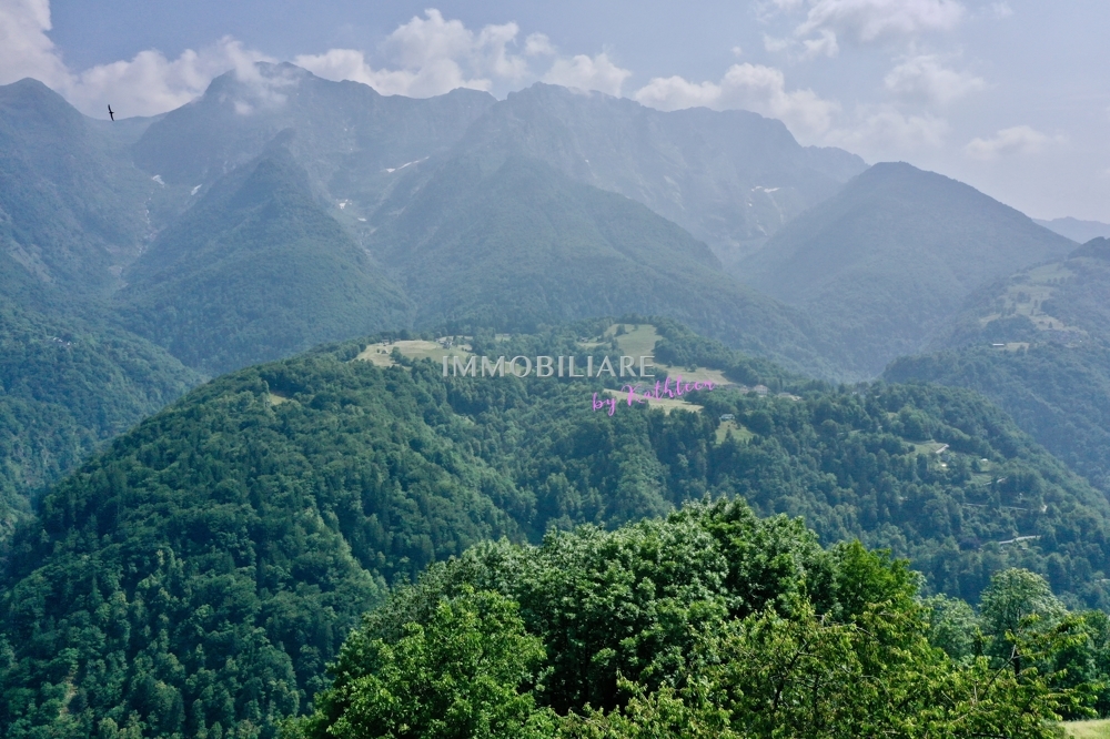 image00008