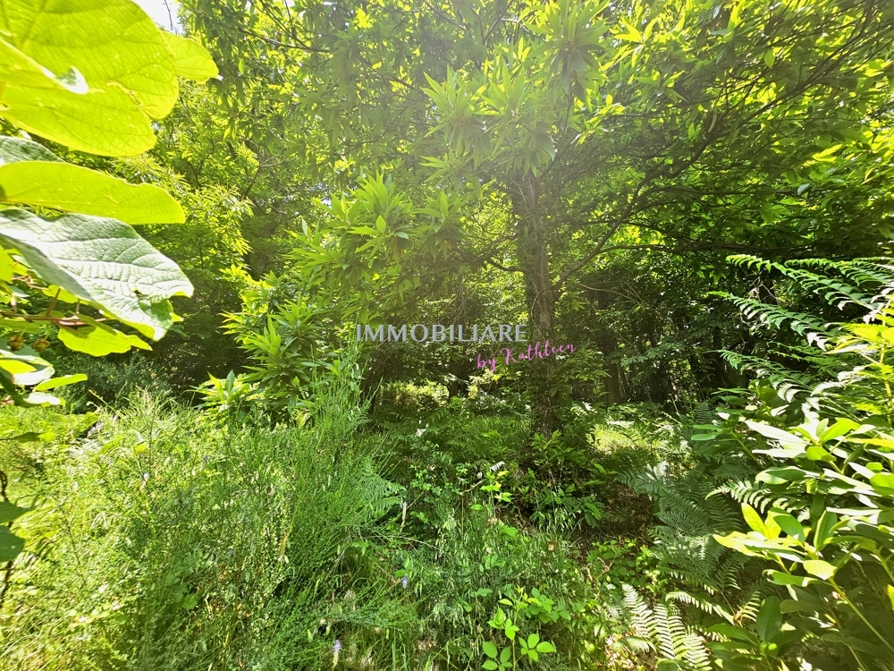 20250611_124458