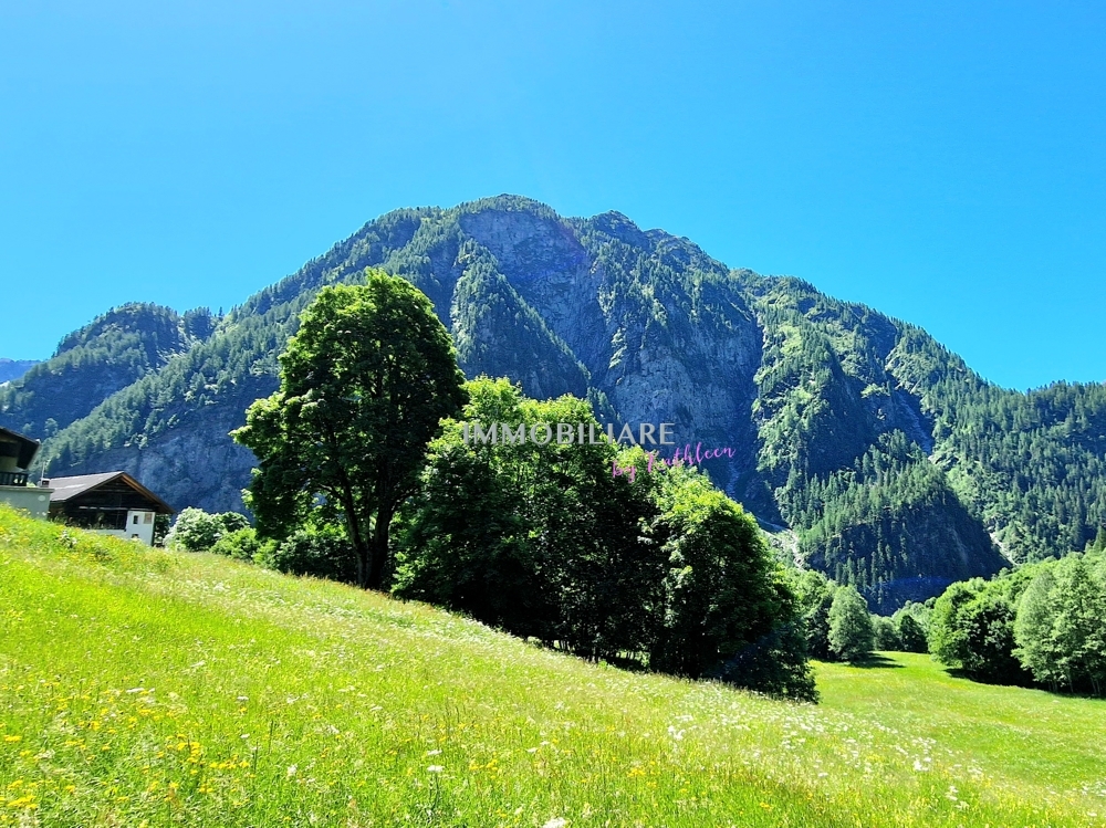 20220610_113015