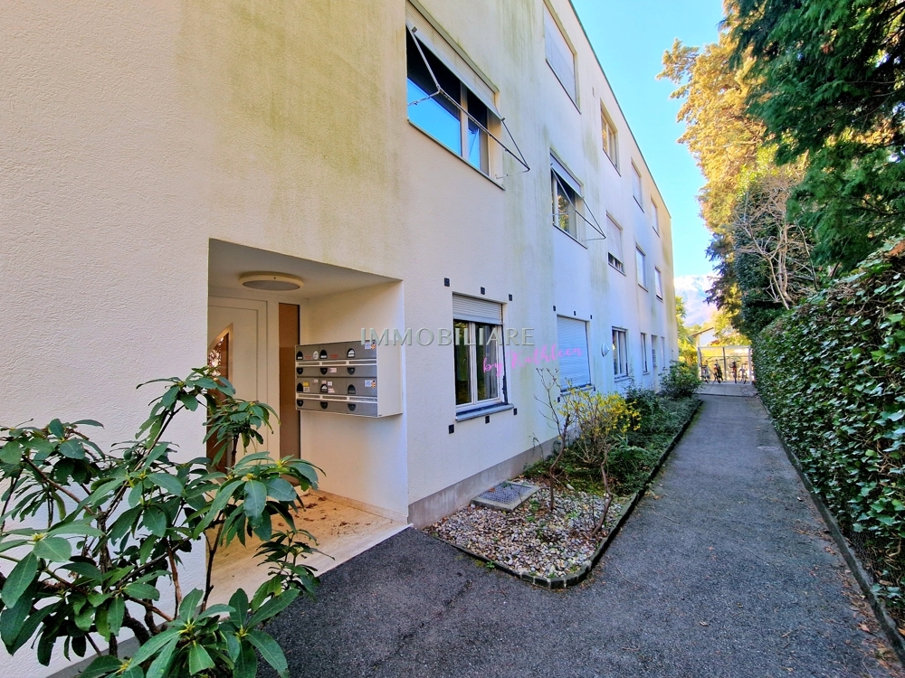 20230315_121910