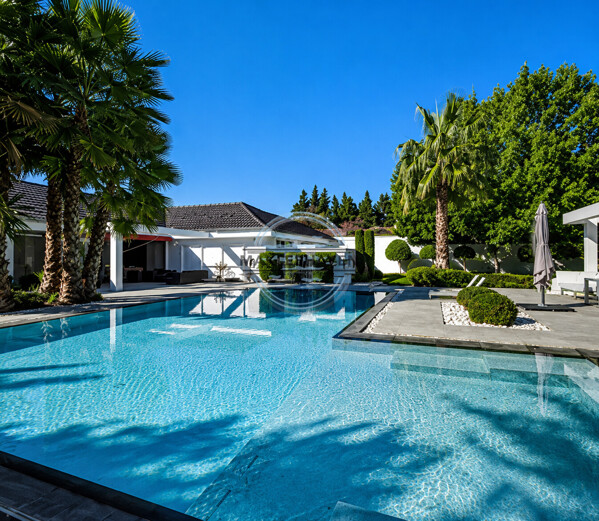 Luxuriöser Garten mit Pool und Sonnenschein