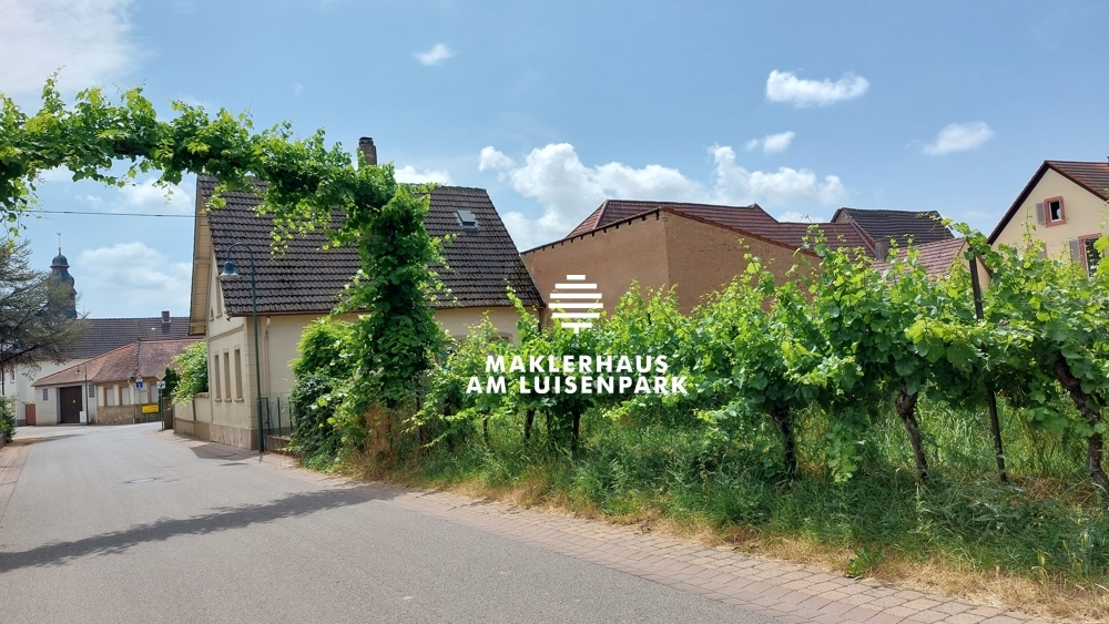 Bauplatz und Umgebung