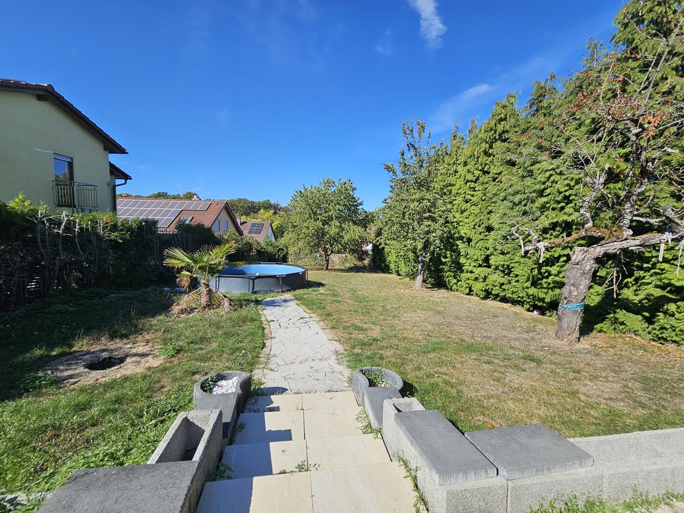 Blick in den Garten