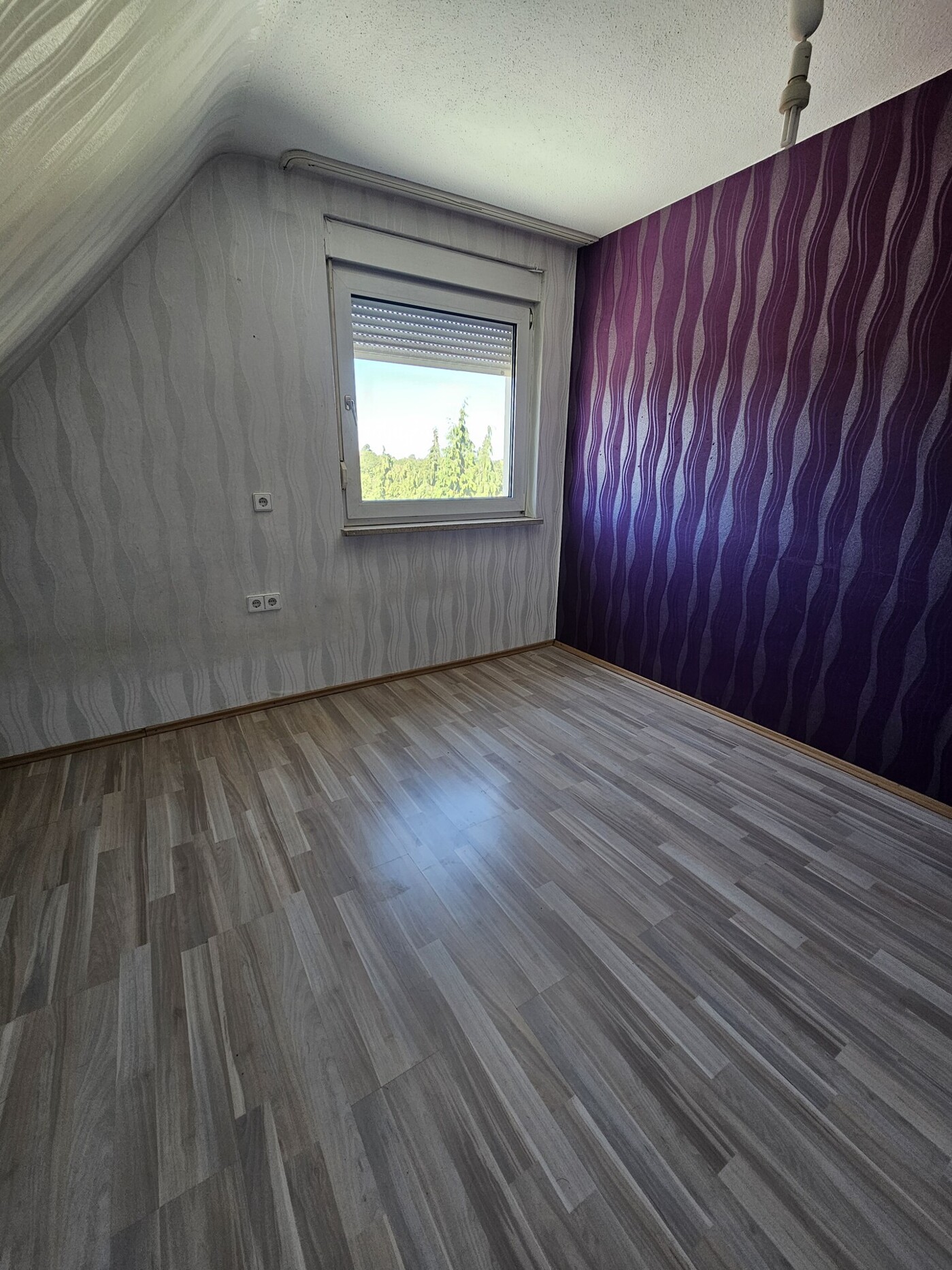 Zimmer DG
