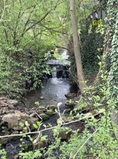 Bachlauf