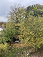 Blick in den Garten