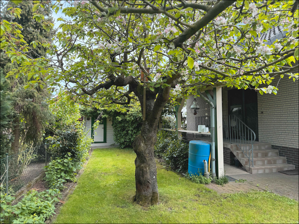 Garten und Blick zum Hauseingang