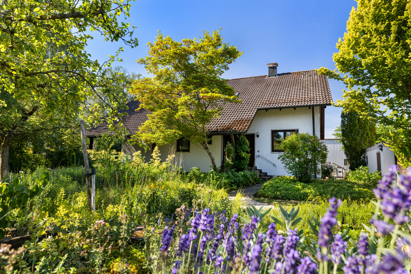 Hausansicht Garten