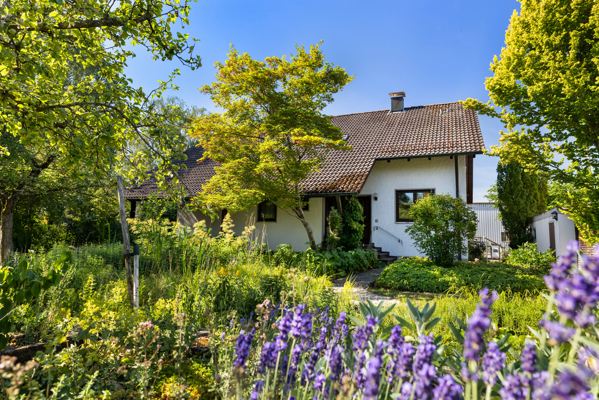 Hausansicht Garten