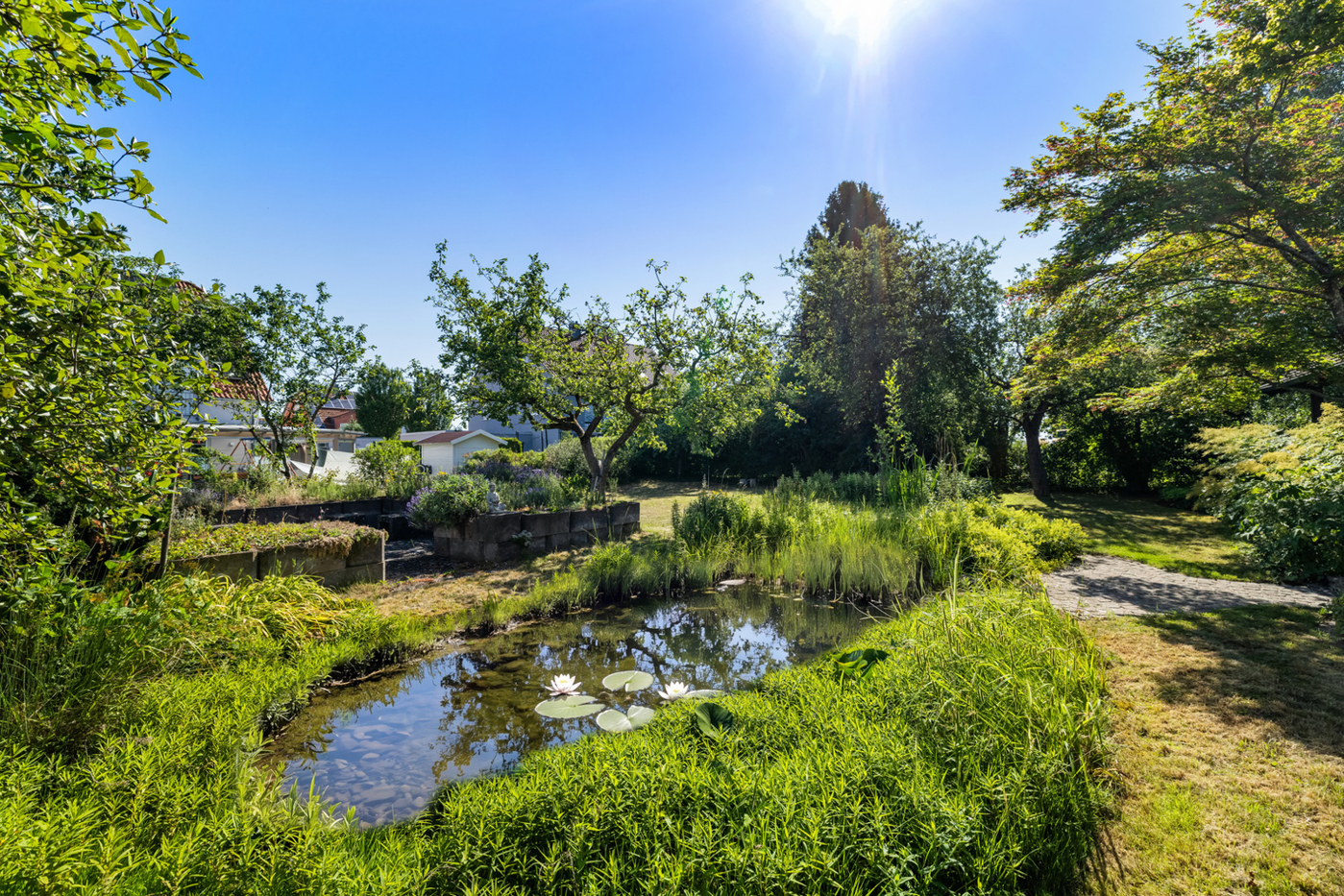 Garten mit Teich 