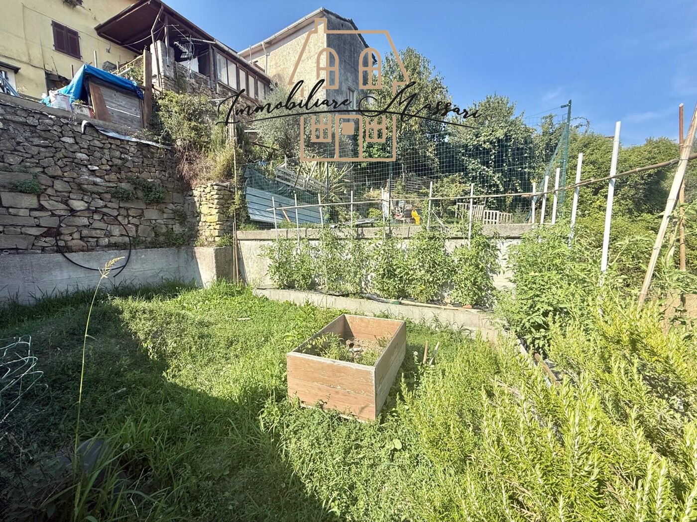 TERRENO 1