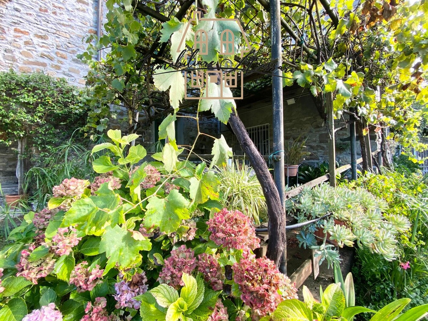 GIARDINO