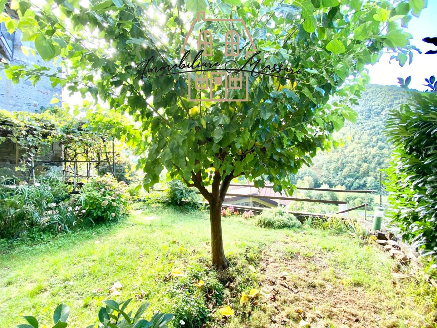GIARDINO