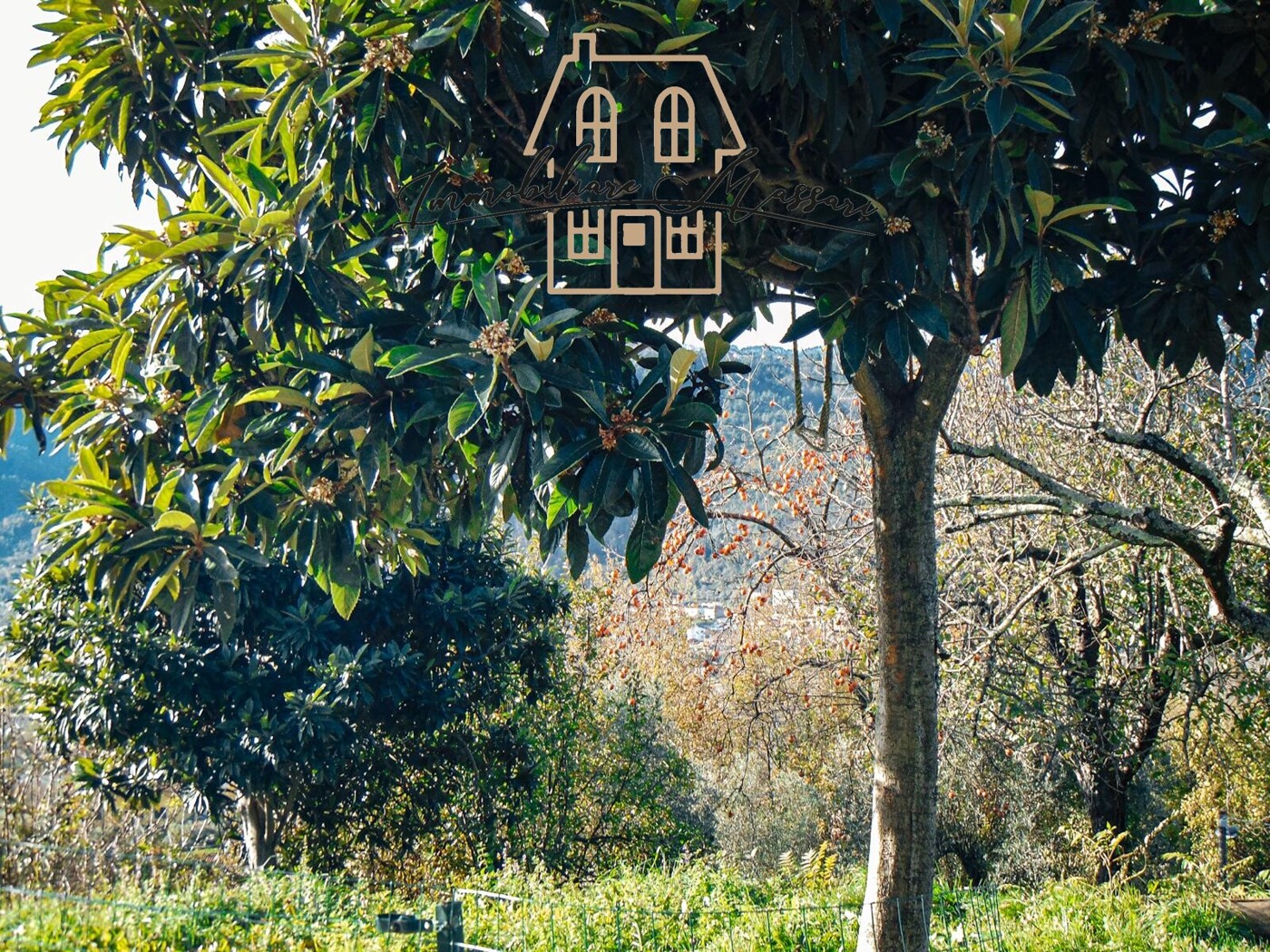 WhatsApp Image 2025-12-12 at 18.52.15 (4)