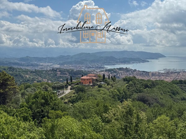 Vista 1
