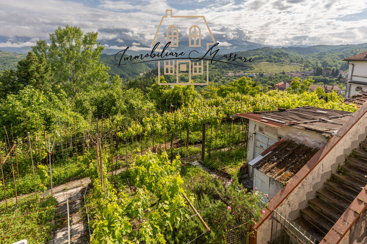 ceserano-23