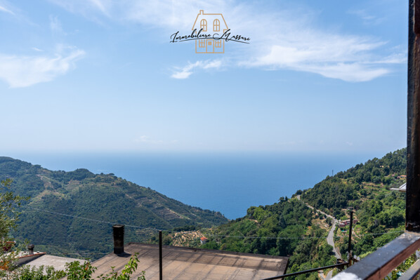 drignana-7