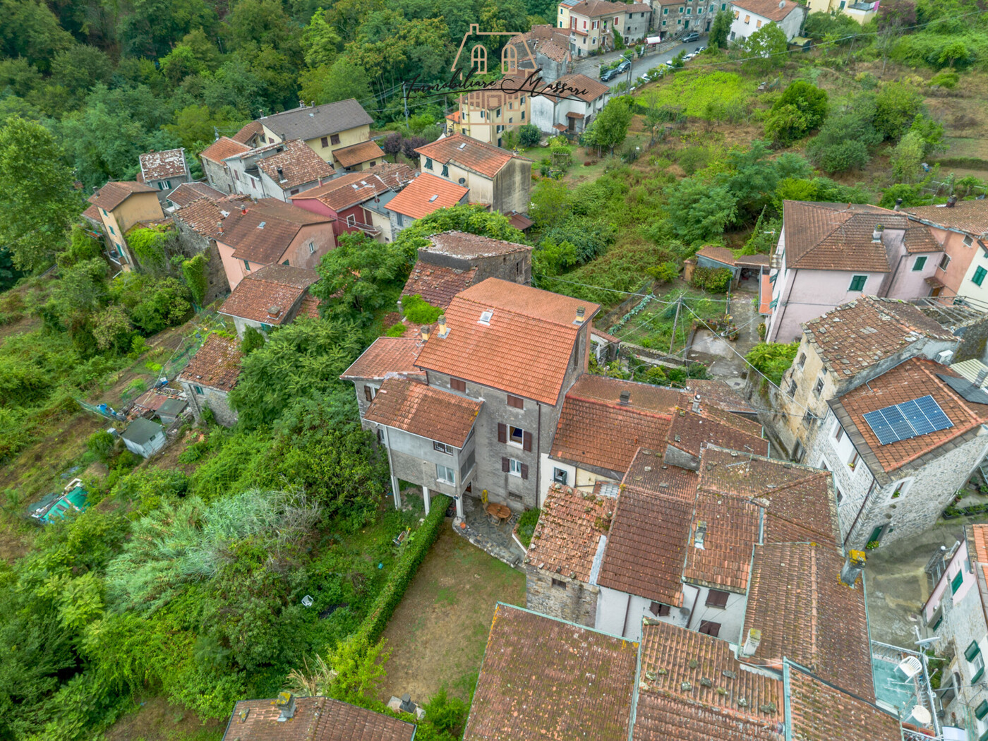 valdipino-53