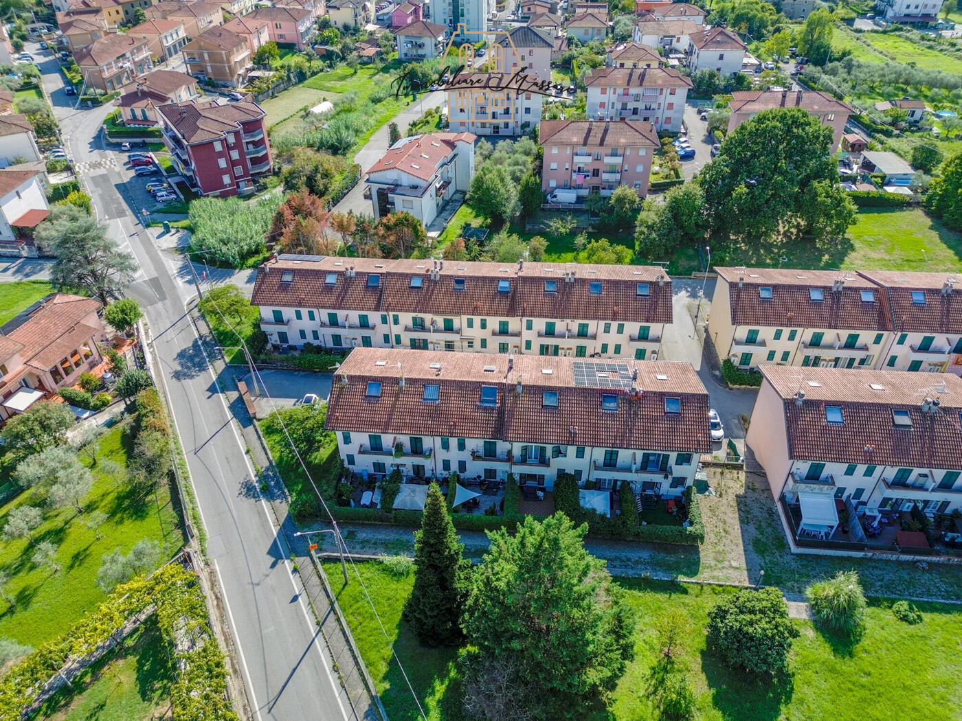 ceparana-53