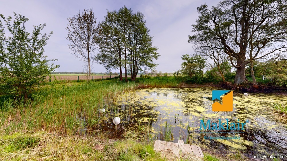 Blick auf den Teich