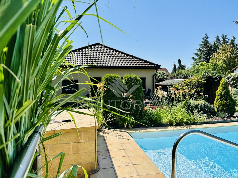 Real Estate Title Image Background