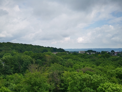 Ausblick Wohnzimmer