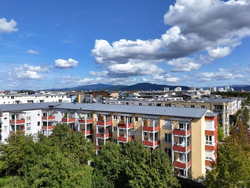 Rieselfeld