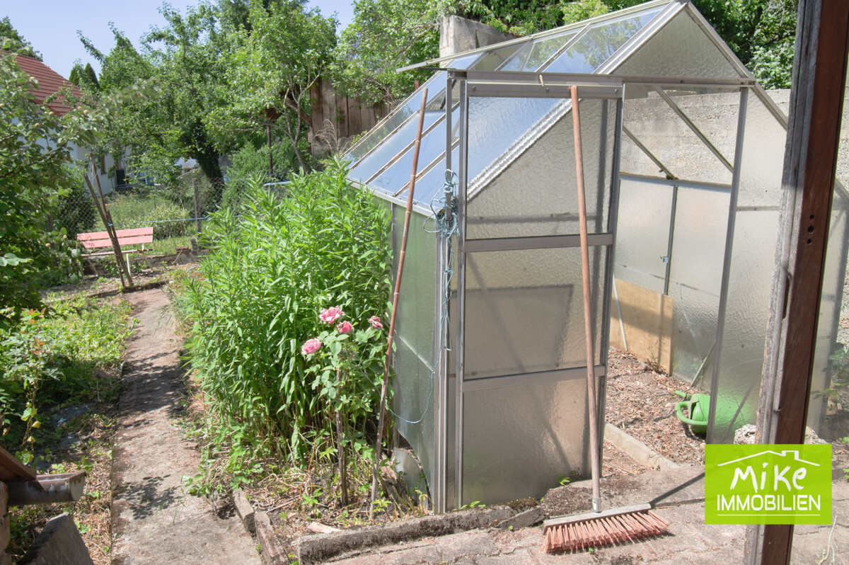 Garten mit Gewächshaus